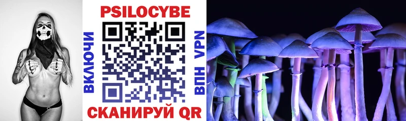 omg ТОР  Березники  Псилоцибиновые грибы мицелий 
